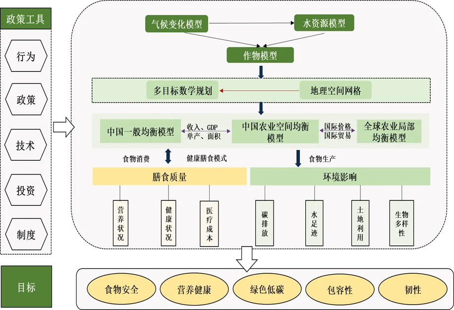 CAU-AFS模型框架