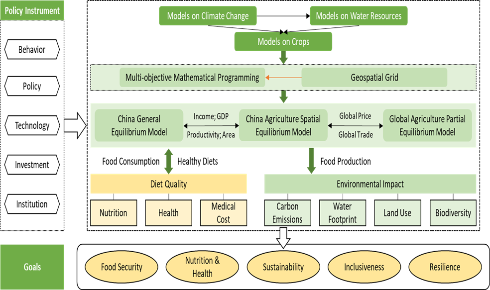 CAU-AFS Model Framework